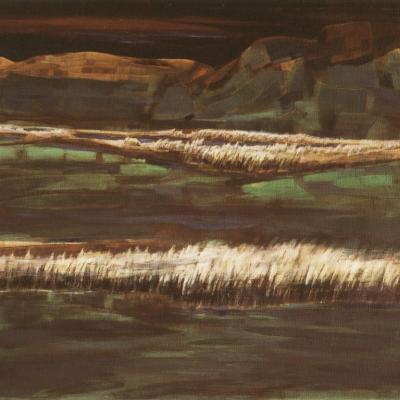 D008 162x130cm 2014 Medium
